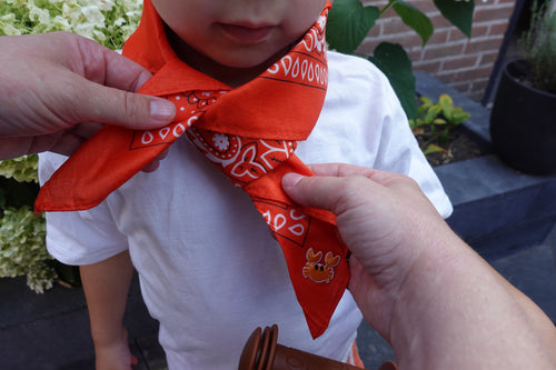 Crabby Orange Bandana