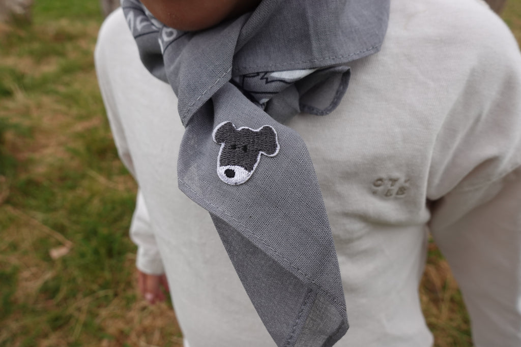Doggy Grey Bandana