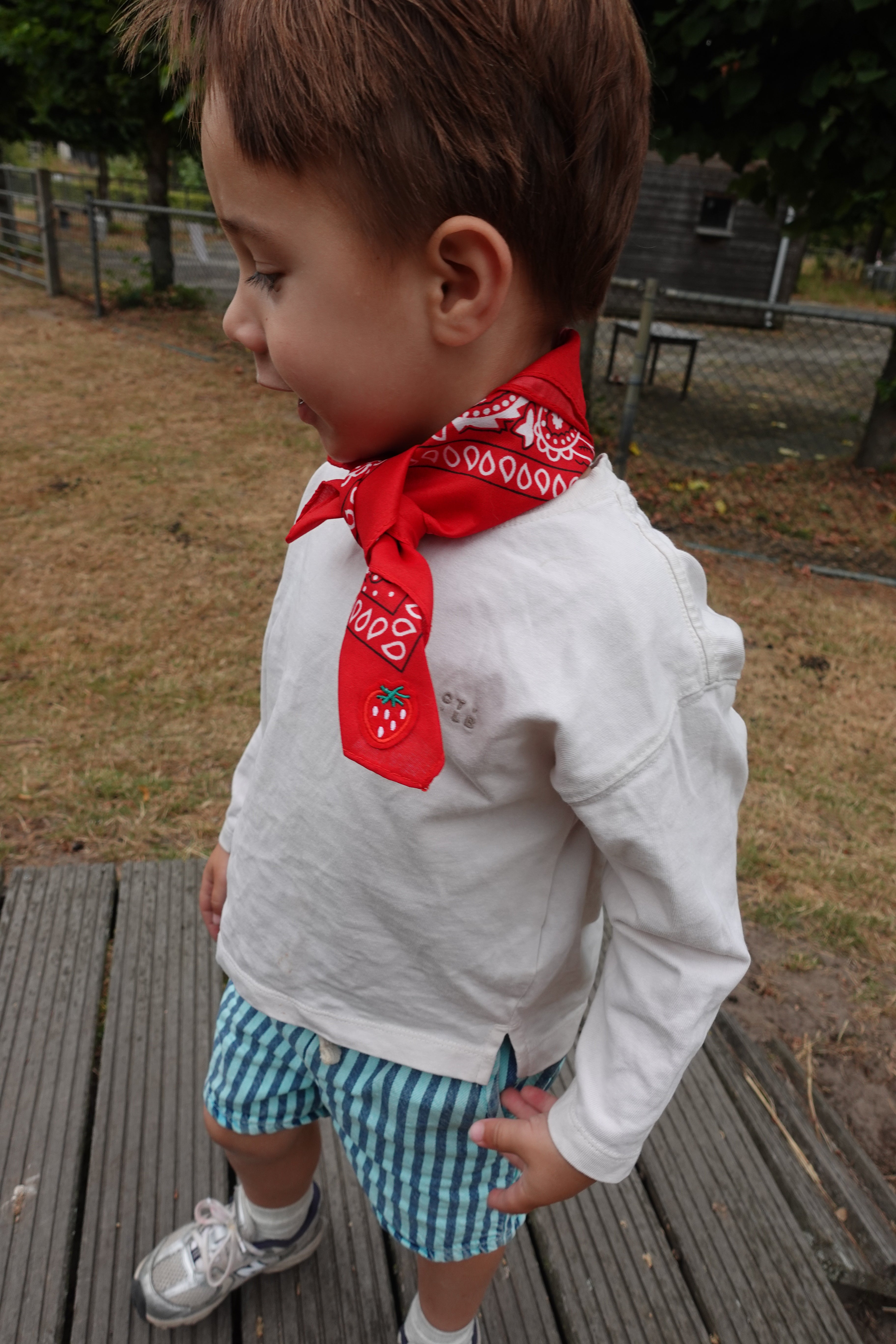 Strawberry Red Bandana