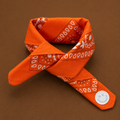 Smiley Orange Bandana